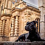 alert, animal, architecture, black_dog, blurred_background, building, canine, closeup, daytime, dog, guarding, historic, laying_down, leisure, mammal, outdoor, pet, portrait, stone, urban