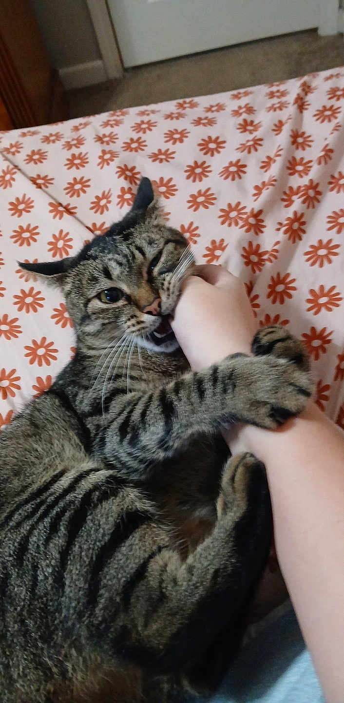 Yuki