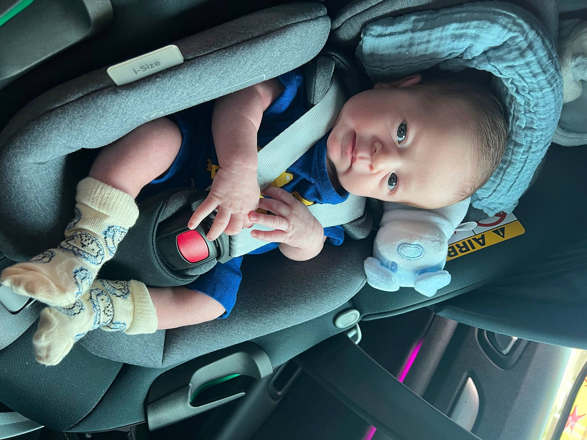 Axton joined the competition — help win amazing prizes! arm, auto_part, baby, baby_carriage, baby_in_car_seat, car_seat, comfort, electric_blue, finger, fun, gesture, hand, human_body, mouth, nail, organ, person, seat_belt, steering_wheel, toddler