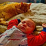 baby, sleeping, cat, ginger_cat, bed, blanket, cozy, indoor, relaxation, child, pet, cute, nap, furniture, comfort, clothing, person, home, warm, peaceful