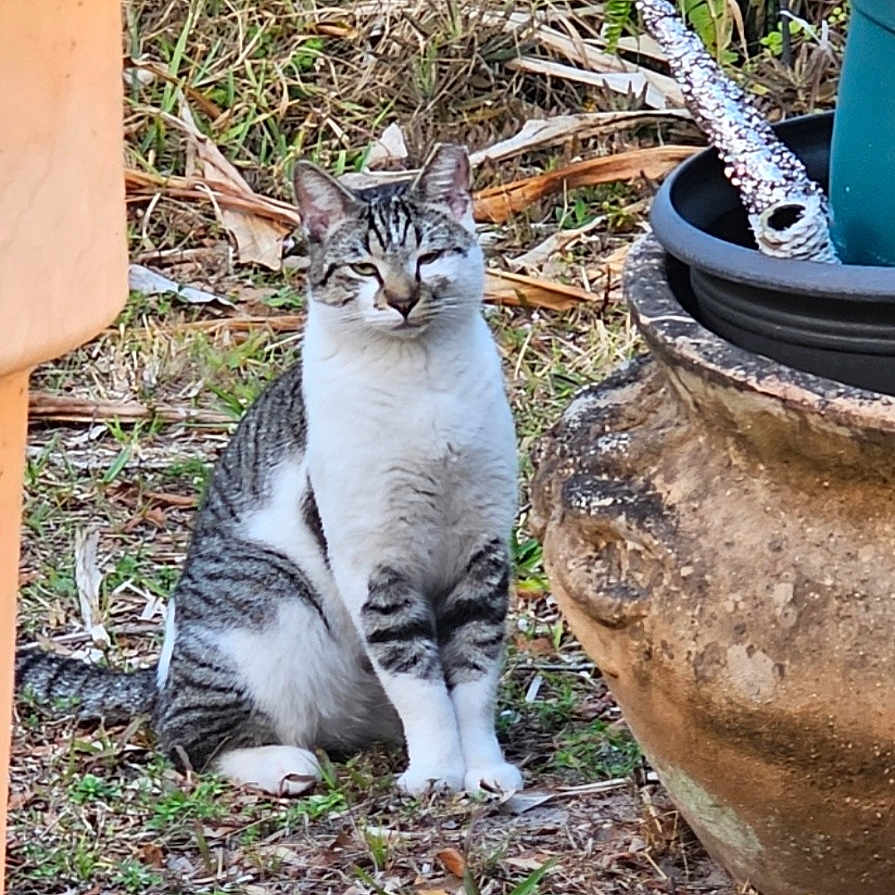 Bob
