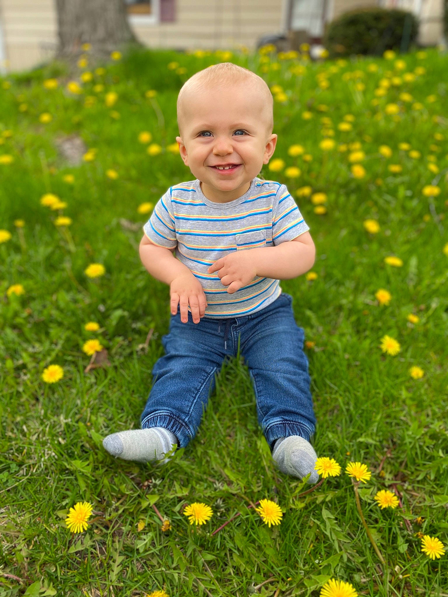 Gryphon joined the competition — help win amazing prizes! baby, botany, child, dandelion, flower, garden, grass, grass_family, happy, joy, lawn, meadow, natural_environment, people_in_nature, person, photography, plant, sitting, spring, toddler