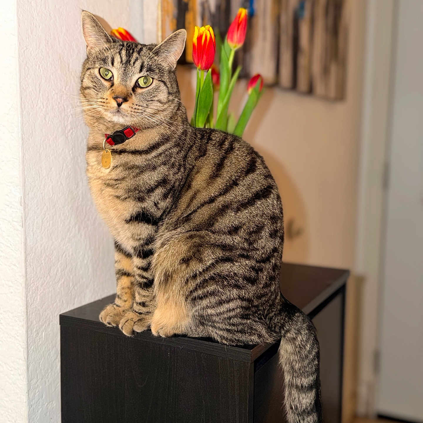 Kiara