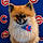 Teddy