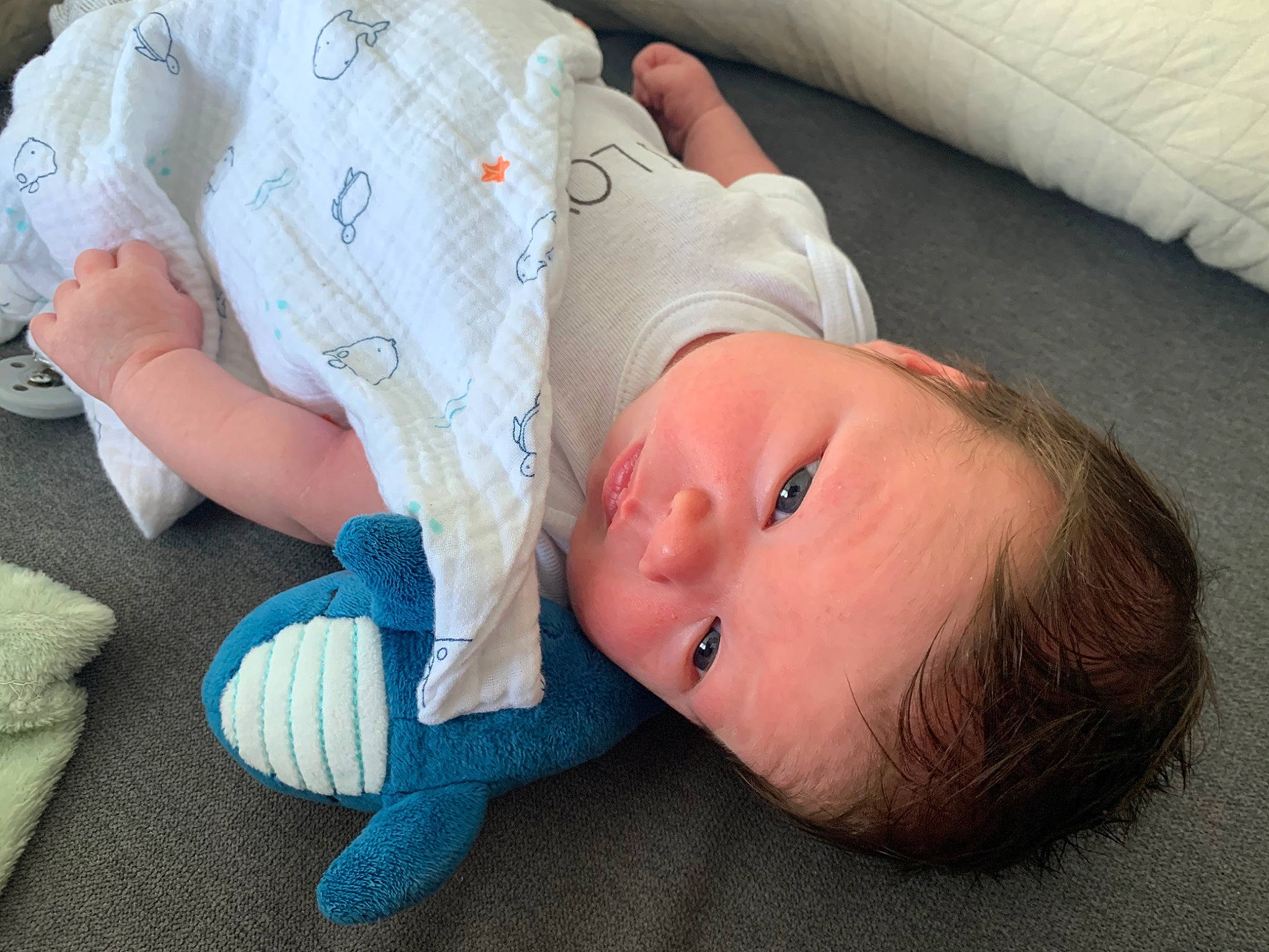 Elio participe au concours pour gagner de l'argent avec cette photo : baby, baby_products, baby_sleeping, baby_toddler_clothing, bedtime, cheek, child, comfort, finger, grass, linens, nap, person, room, sitting, skin, sleep, toddler