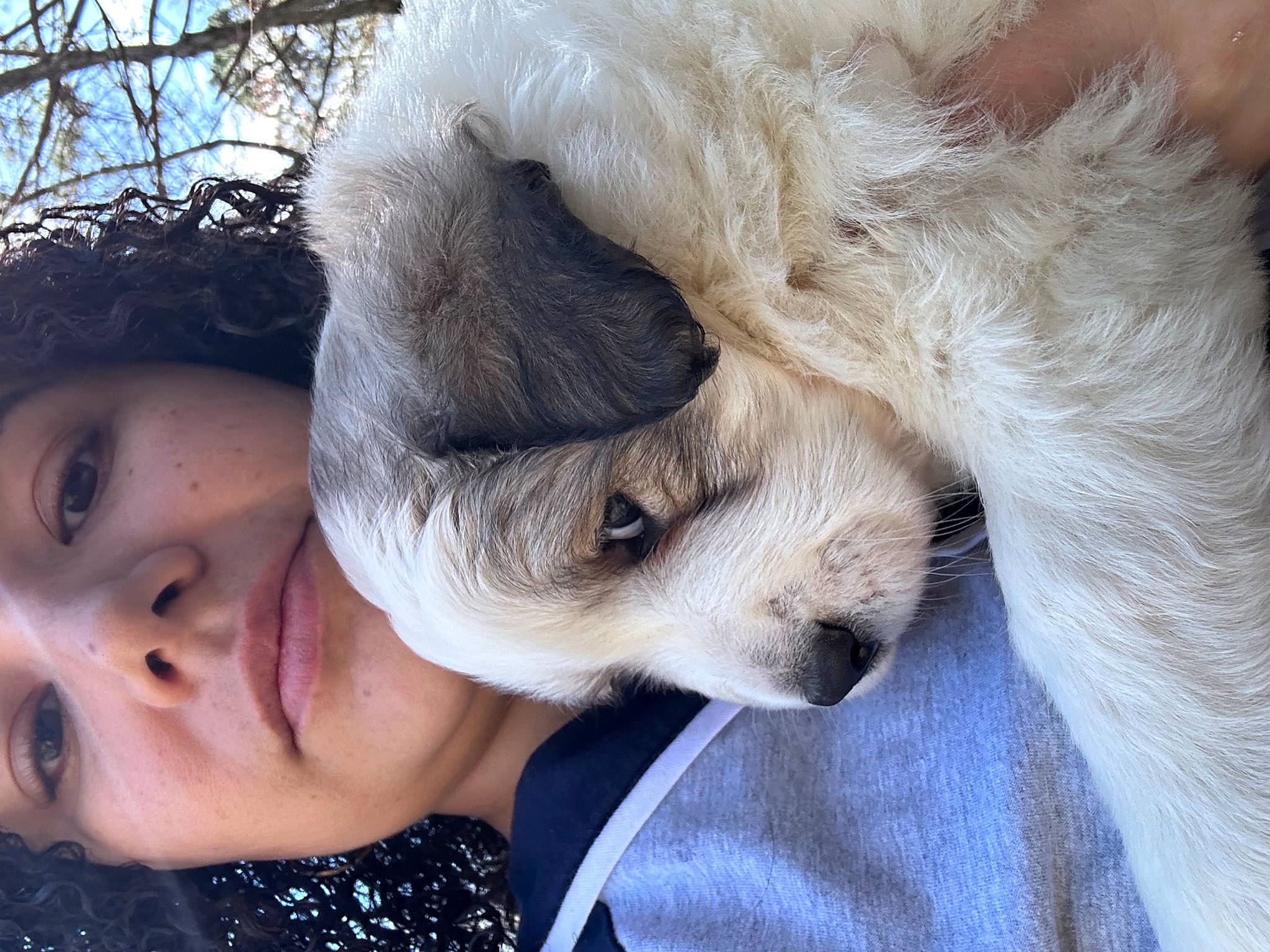 Rajah is registered to the contest to win money with this photo: carnivore, companion_dog, dog, dog_breed, ear, eyelash, fawn, felidae, fur, fur_clothing, happy, nose, paw, selfie, snout, sunglasses, toy, tree, whiskers, winter