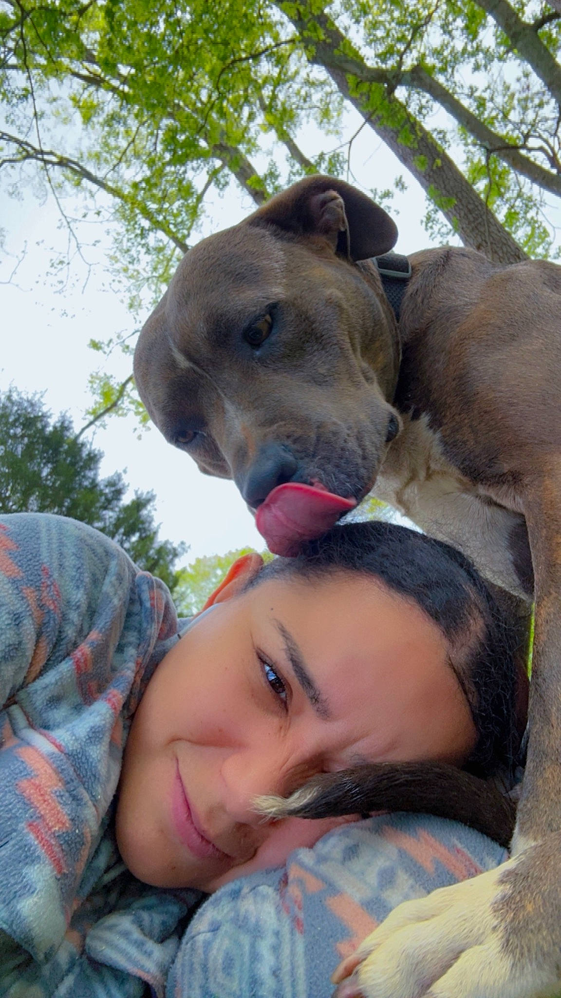 Flor joined the competition — help win amazing prizes! canidae, carnivore, companion_dog, dog, dog_breed, fawn, gesture, grass, happy, hat, mammal, plant, recreation, selfie, sky, snout, sporting_group, tree, vertebrate, working_animal