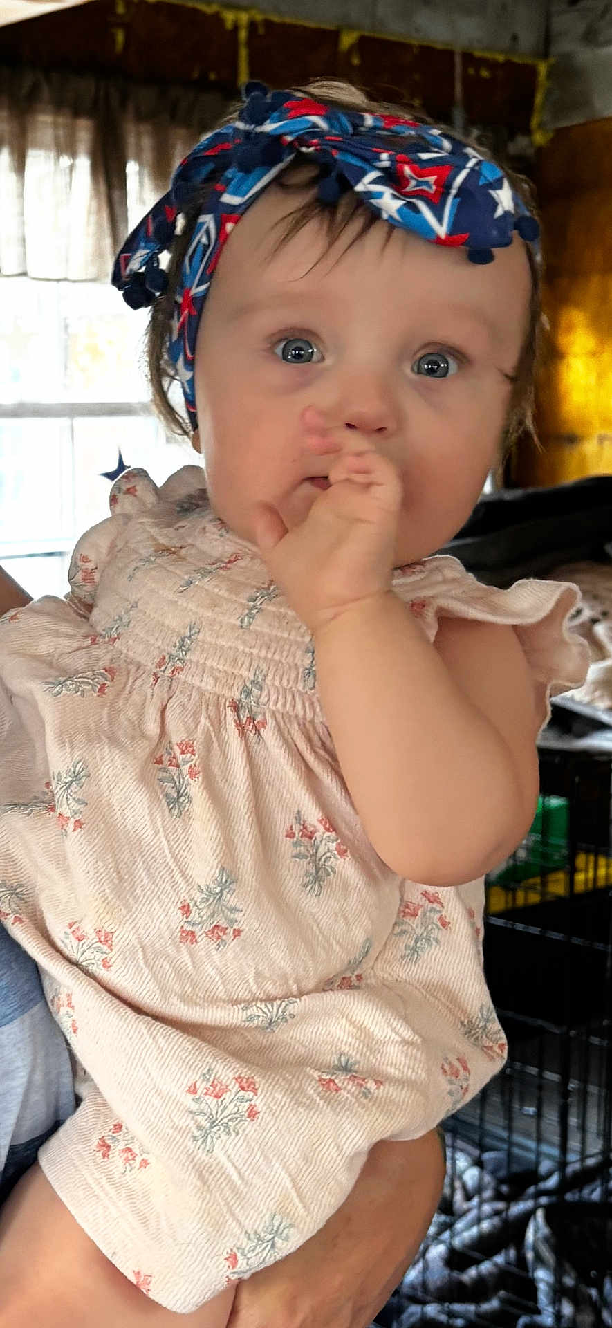 Willow is registered to the contest to win money with this photo: baby, child, infant, headband, dress, floral_pattern, hand, thumb, face, blue_eyes, curious, person, indoor, window, curtains, adult_hand, holding, soft_lighting, cozy, portrait