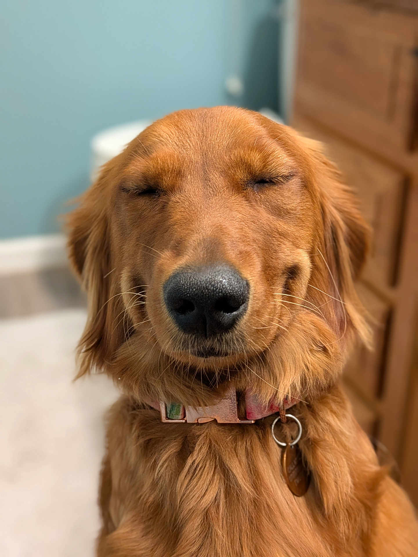 Nutmeg