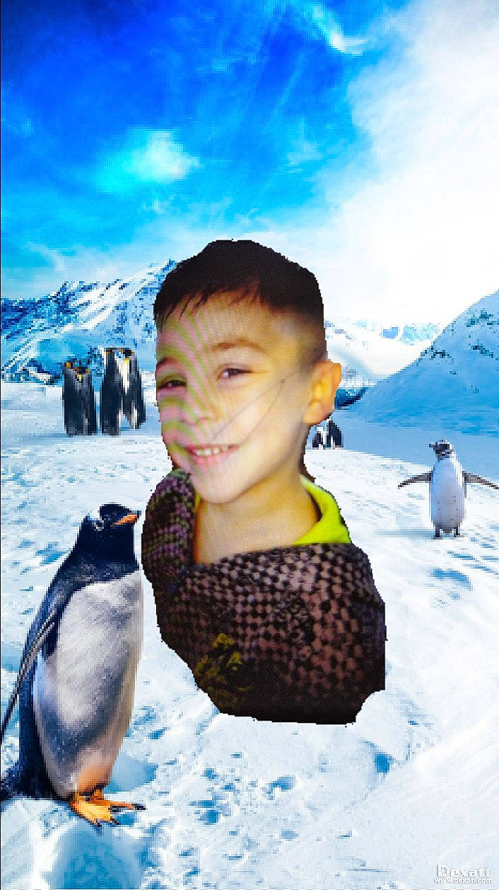 Naime a rejoint le concours — aidez-le/la à gagner de superbes lots ! adalie_penguin, azure, bird, blue, cloud, freezing, glacial_landform, happy, ice_cap, joy, mammal, mountain, penguin, people_in_nature, person, sky, slope, smile, snow, travel