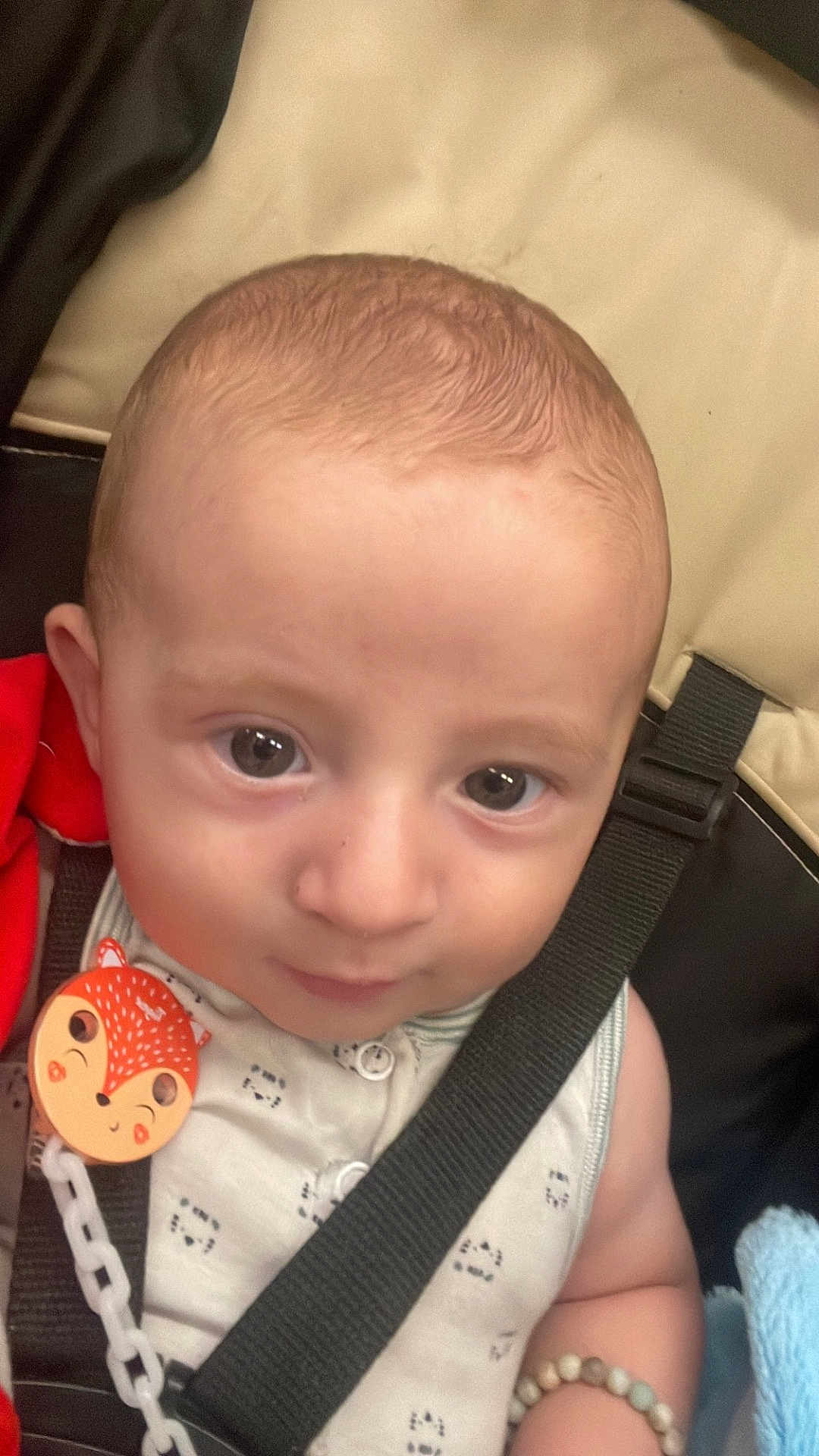 Jaden participe au concours pour gagner de l'argent avec cette photo : baby, infant, car_seat, seatbelt, bracelet, pacifier_clip, fox_design, cute, closeup, child, person, sitting, young, clothing, face, head, eyes, skin, indoors, baby_accessory