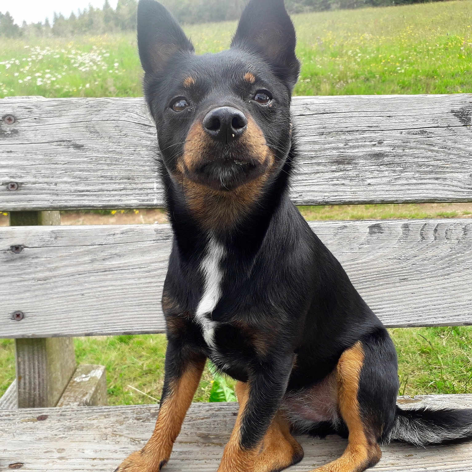 Keila