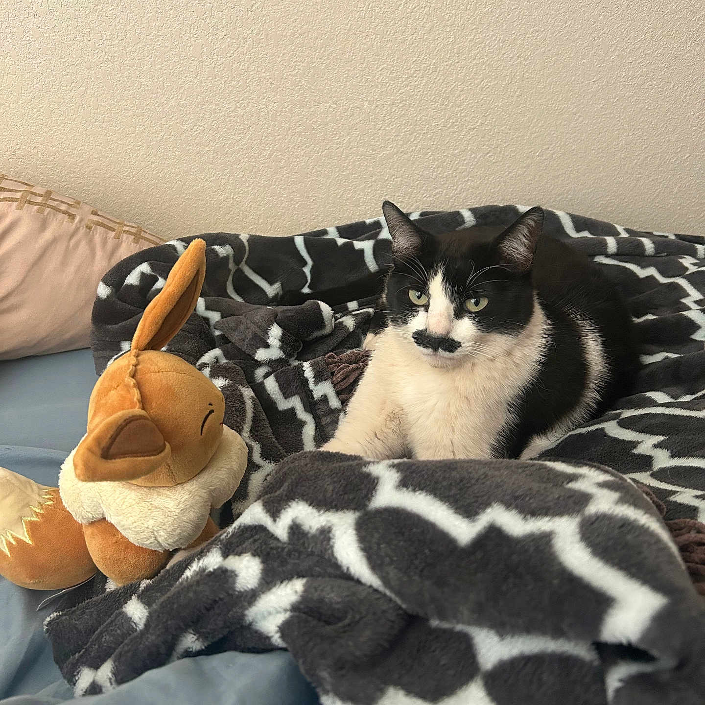 Basil joined the competition — help win amazing prizes! cat, black_and_white, mustache_marking, plush_toy, fox_plush, blanket, patterned_blanket, bed, cozy, indoor, pet, feline, animal, resting, soft_toys, ears, fur, cute, looking, comfort