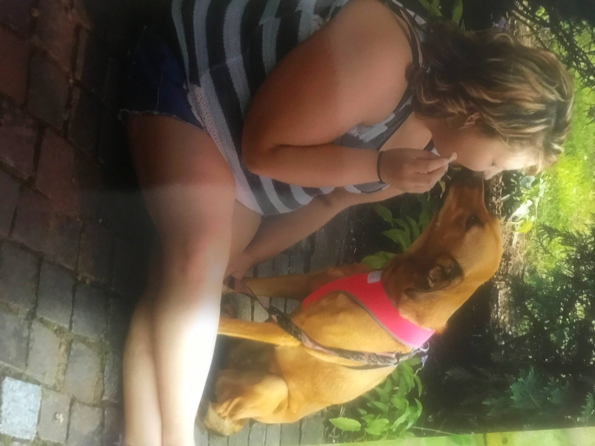 Maybelline is registered to the contest to win money with this photo: carnivore, dress, eyewear, fawn, finger, grass, happy, human_leg, knee, leg, leisure, long_hair, people_in_nature, plant, sandal, shorts, sunglasses, thigh, tree, trunk