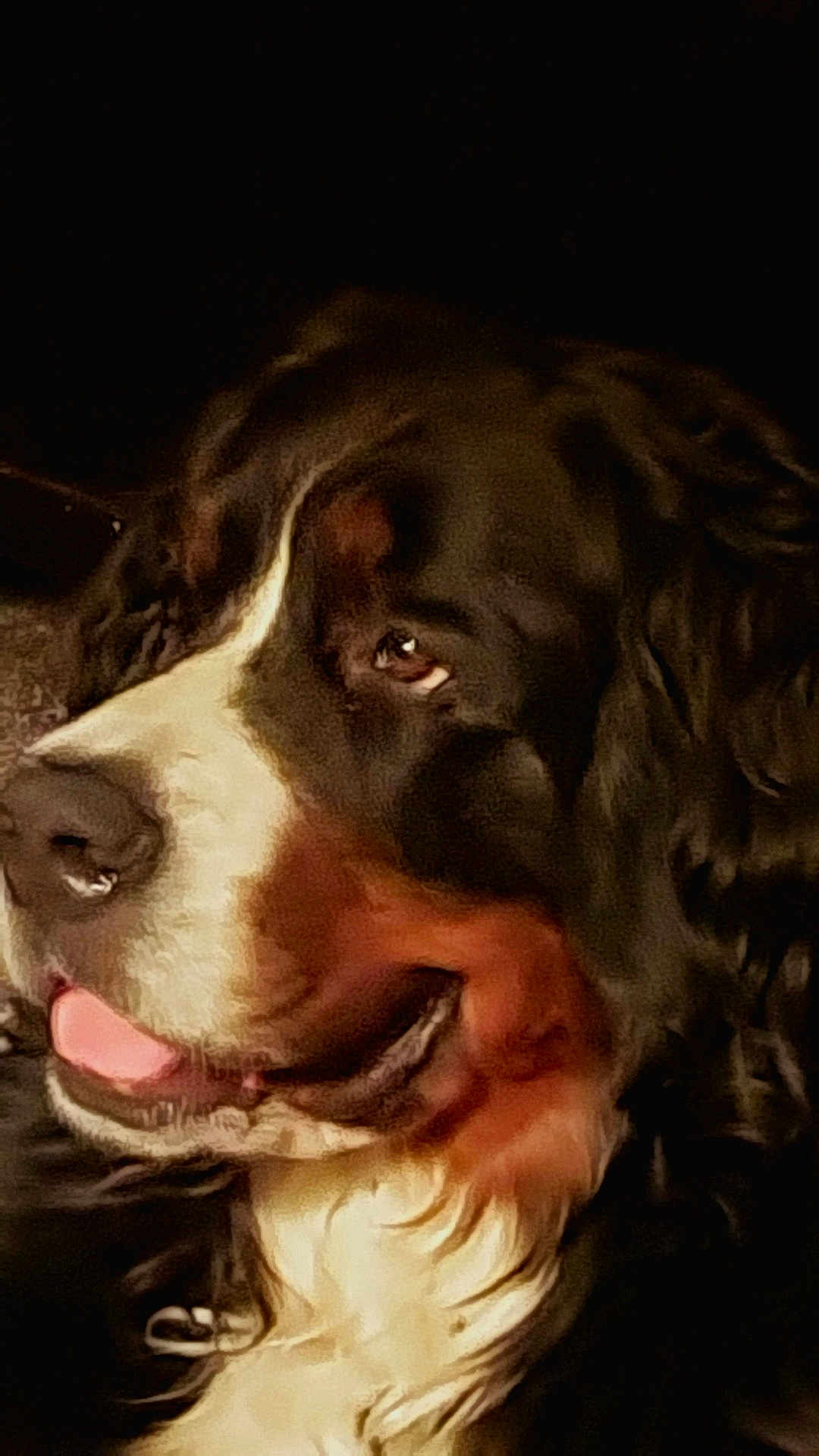 Lady