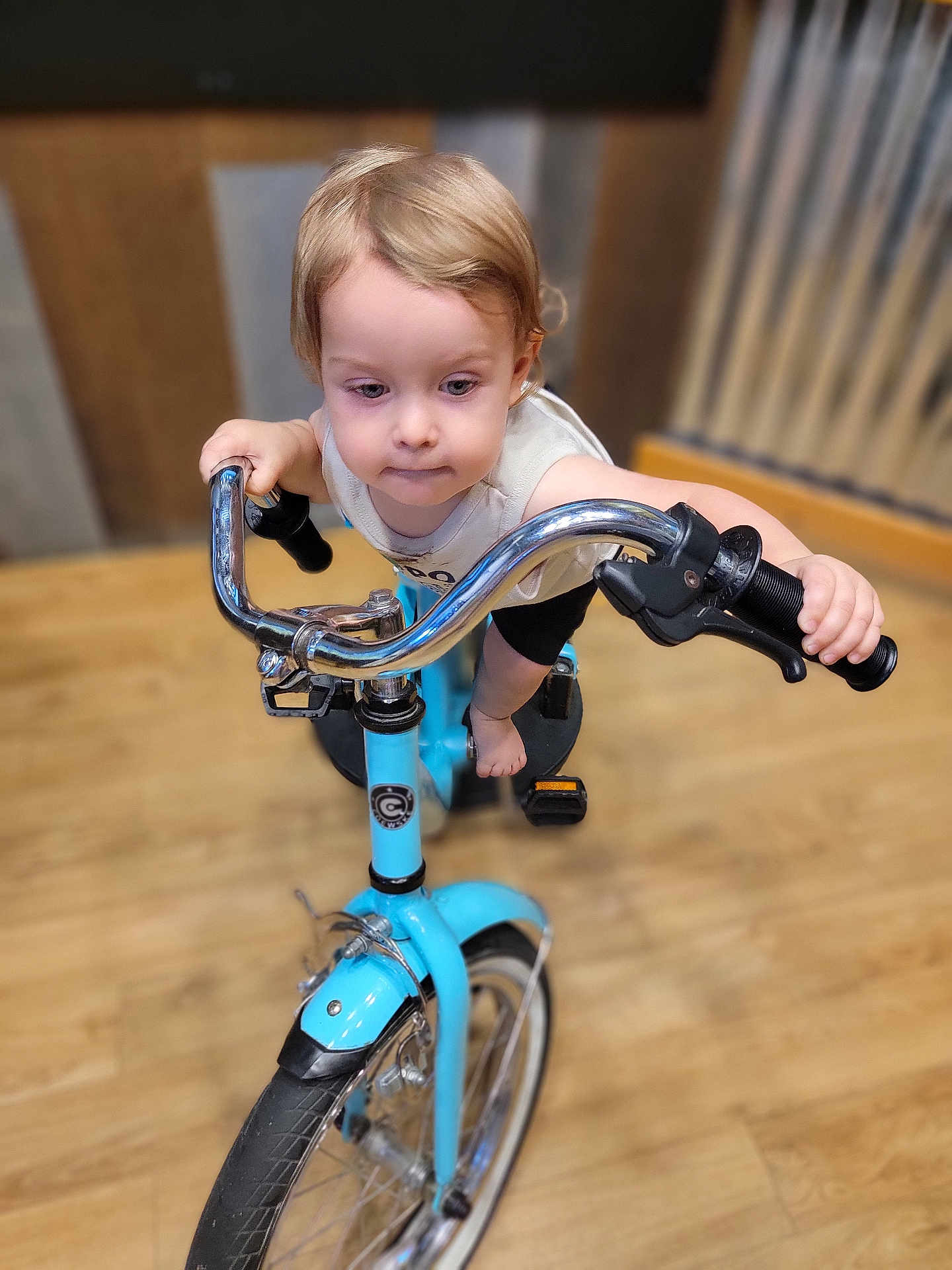 Ryder joined the competition — help win amazing prizes! toddler, child, bicycle, blue_bike, handlebars, indoor, wooden_floor, focused, barefoot, short_sleeves, blond_hair, young_child, toy, motion, play, flooring, metal, pedals, wheel, grip