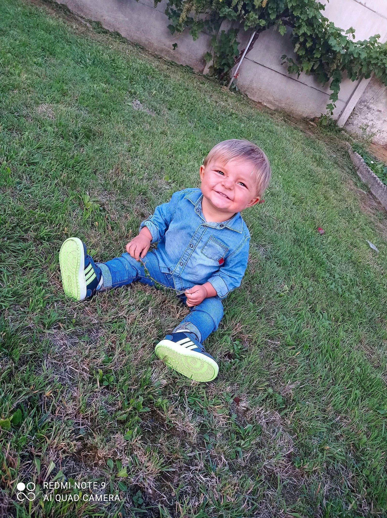 Raphaël participe au concours pour gagner de l'argent avec cette photo : backyard, child, fun, garden, grass, joy, lawn, person, plant, play, soil, toddler, tree, yard