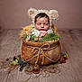 baby, basket, bear_ears, berries, cozy, cute, decor, ferns, flowers, greenery, indoors, knitted_hat, natural, newborn, portrait, resting, sleeping, soft_lighting, wood_floor, wrapped