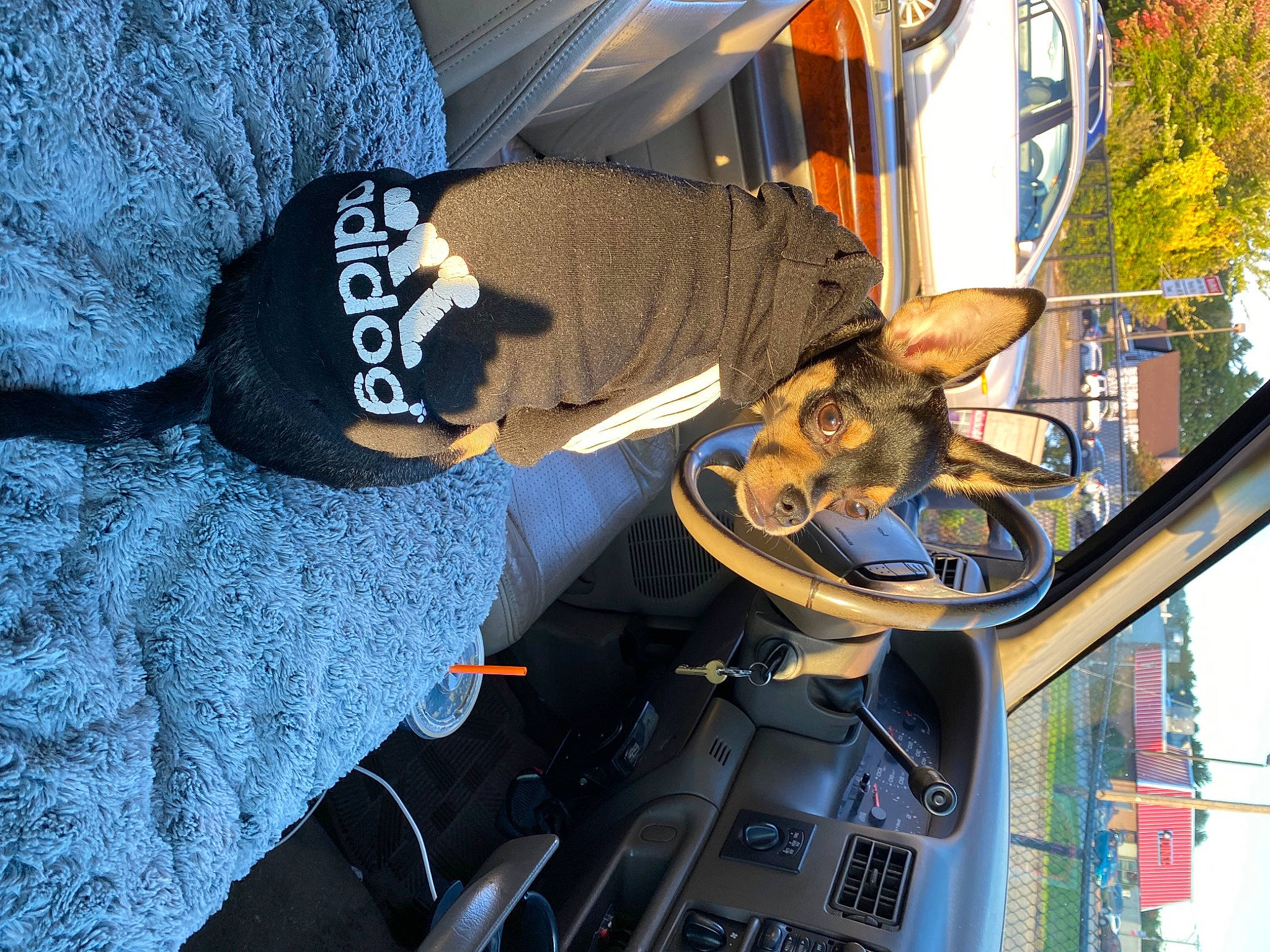 Dobbs is registered to the contest to win money with this photo: auto_part, automotive_design, automotive_exterior, automotive_lighting, automotive_tire, automotive_wheel_system, bag, cap, hat, hood, luggage_and_bags, machine, motor_vehicle, plant, t_shirt, toy, tree, vehicle, vehicle_door, windshield