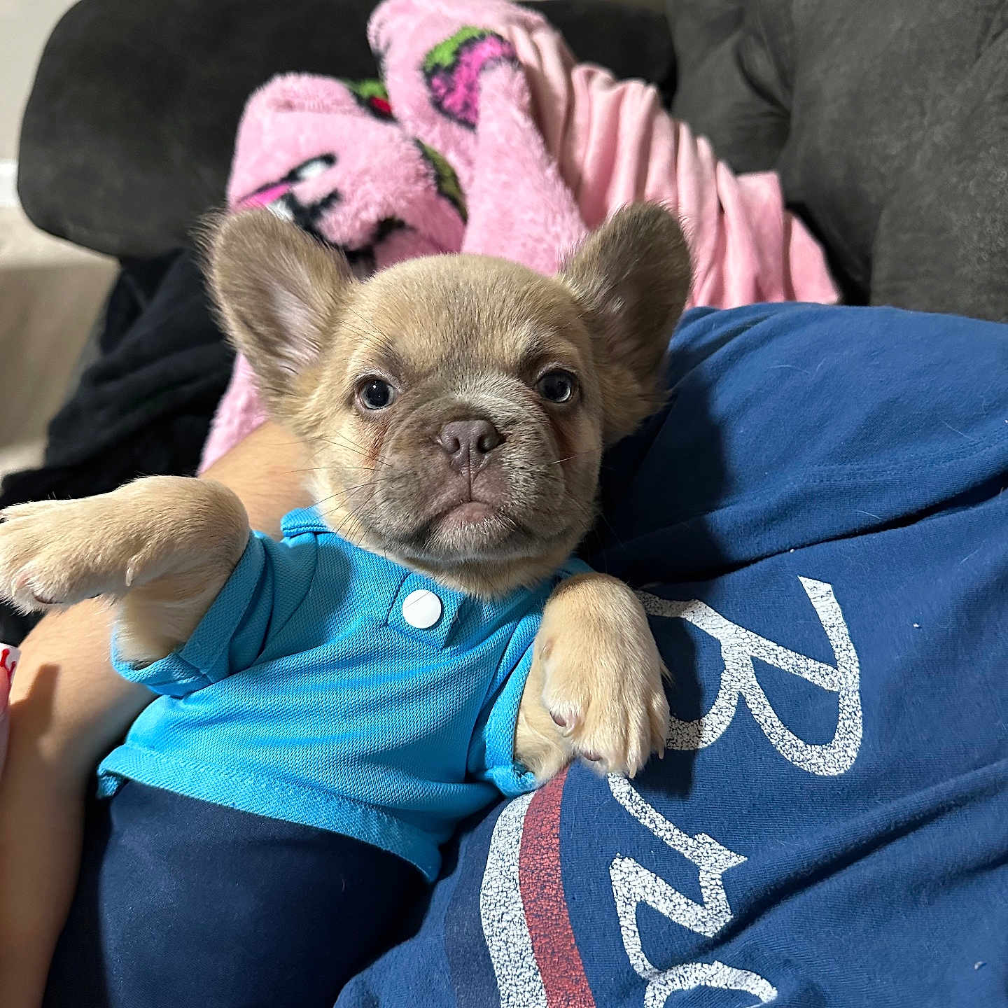 Chico