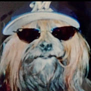 Smokey is registered to the contest to win money with this photo: dog, sunglasses, cap, pet, animal, portrait, blurry, closeup, face, fur, headwear, accessory, indoor, cute, cool, fashion, mystery, companion, canine, funny