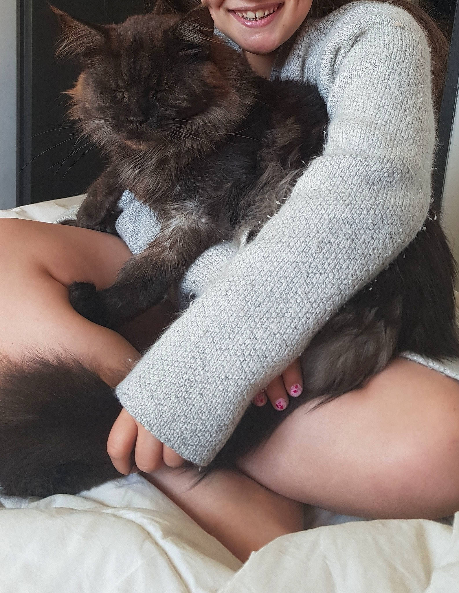 Jay-z a rejoint le concours — aidez-le/la à gagner de superbes lots ! arm, british_longhair, carnivore, cat, comfort, ear, eye, felidae, finger, fur, hand, hug, human_body, human_leg, lap, leg, long_hair, sitting, skin, small_to_medium_sized_cats