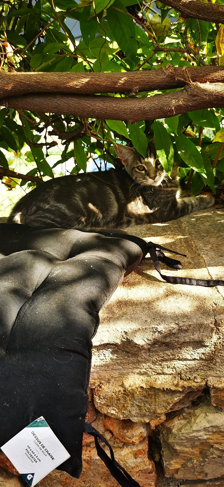 Perla a rejoint le concours — aidez-le/la à gagner de superbes lots ! plant, tree, wildlife, zoo