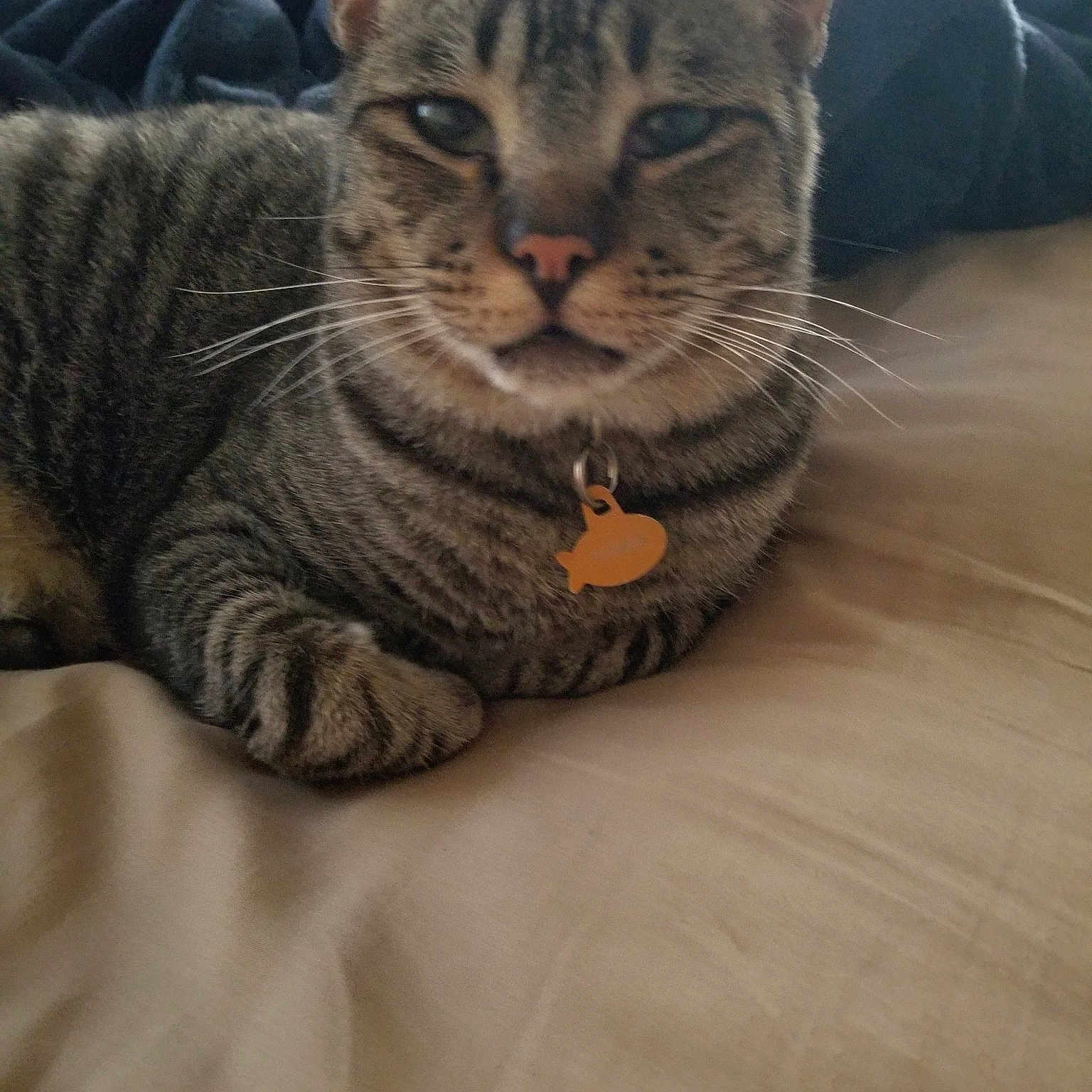Tonka