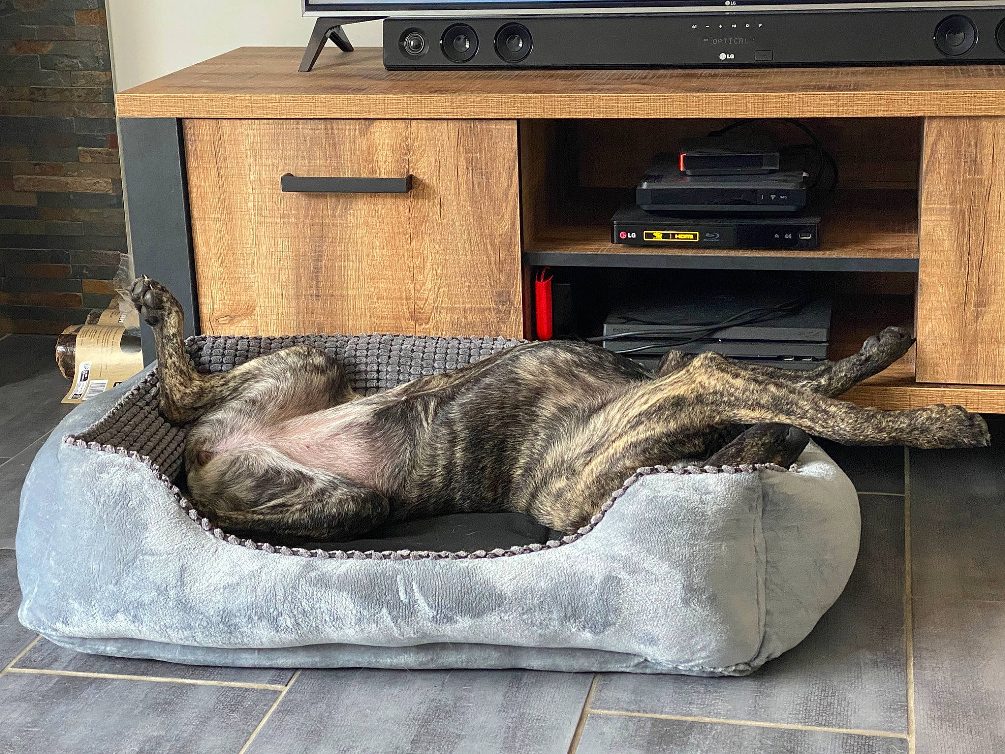 Tabata participe au concours pour gagner de l'argent avec cette photo : cabinetry, comfort, cooktop, countertop, drawer, flooring, furniture, gas, grey, hardwood, home_appliance, kitchen, kitchen_appliance, kitchen_stove, living_room, major_appliance, microwave_oven, room, stove, wood