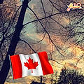 Élisée D.