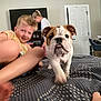bulldog, puppy, child, person, indoor, bed, blanket, living_room, door, television, furniture, carpet, foot, playing, curious, portrait, family, home, blur, cute