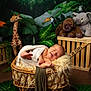 Tymaël participe au concours pour gagner de l'argent avec cette photo : baby, infant, sleeping, smiling, wicker_basket, blanket, plush_toys, giraffe, elephant, monkey, jungle_theme, green_leaves, wooden_crate, cozy, cute, newborn, nursery, soft_lighting, indoor, portrait