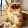 Minette