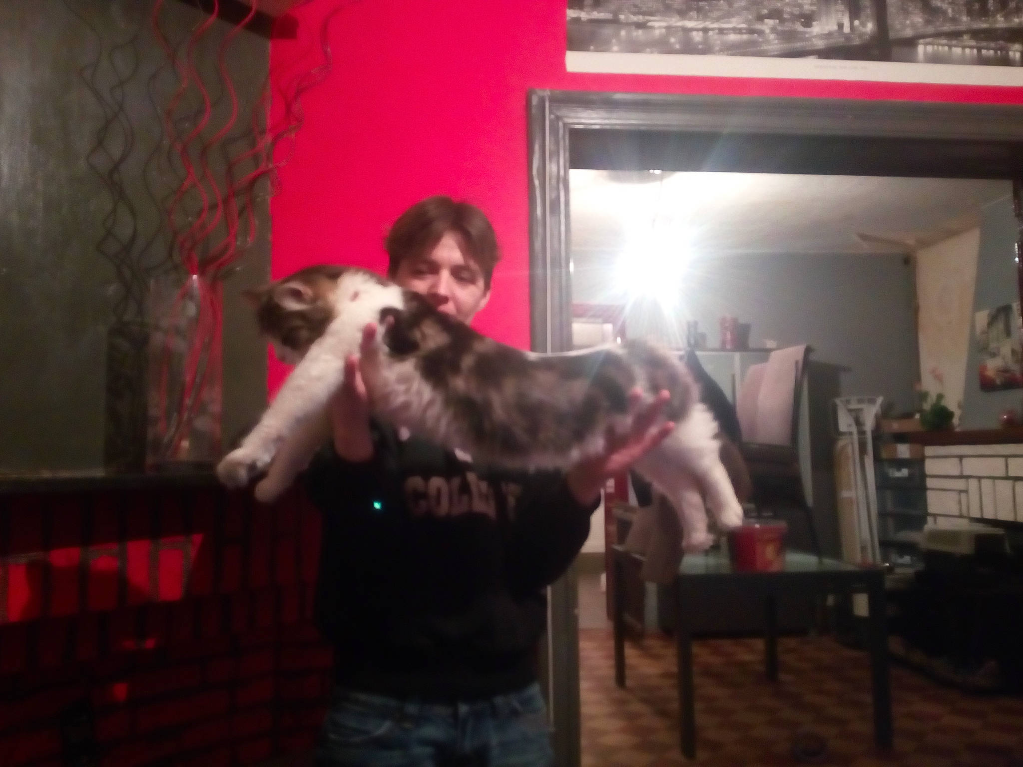 Bouly participe au concours pour gagner de l'argent avec cette photo : carnivoran, dog_like_mammal, fun, mammal, organ, person, vertebrate