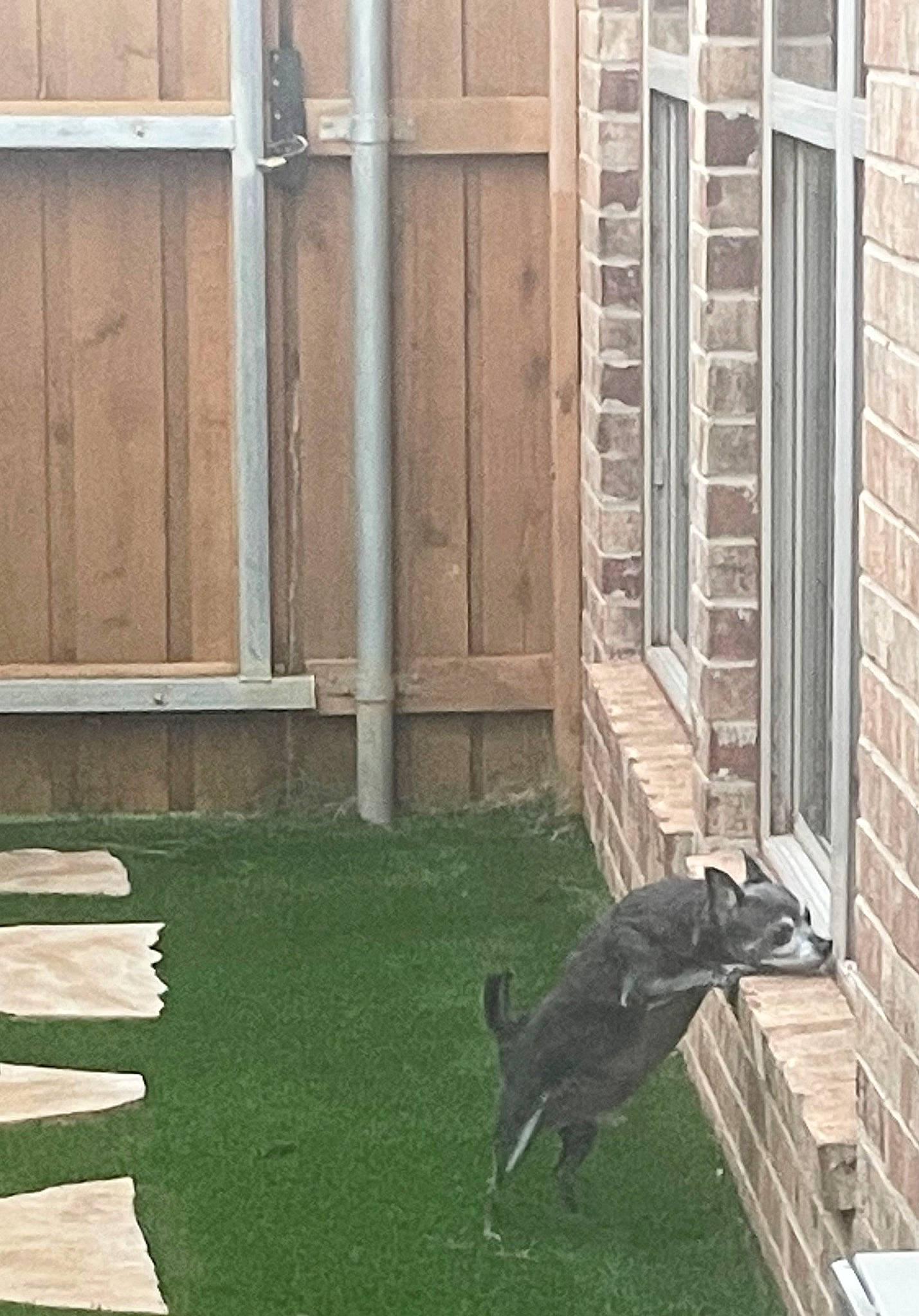 Nickel joined the competition — help win amazing prizes! bird, brick, brickwork, building, door, facade, flooring, grass, hardwood, home_door, house, plant, road_surface, shadow, siding, tail, tints_and_shades, window, wood, wood_stain