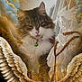 angel_wings, animal, cat, clouds, collar, decoration, feline, fur, golden_light, heavenly, indoor, pet, portrait, praying_hands, rosary, soft_light, spiritual, statue, surreal, whiskers