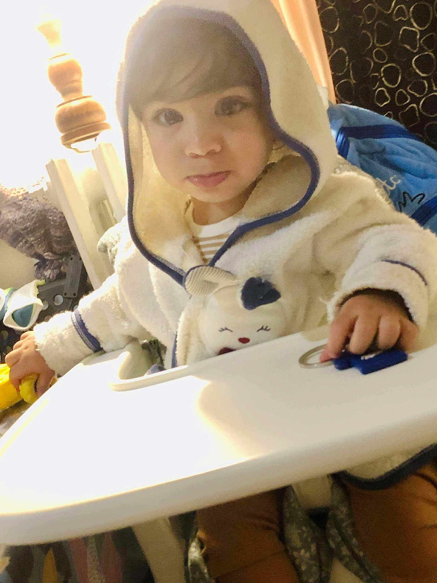 Miron a rejoint le concours — aidez-le/la à gagner de superbes lots ! toddler, child, hooded_jacket, high_chair, indoor, toy, curious, warm_lighting, face, hand, clothing, furniture, baby, person, sitting, plush, cozy, expression, indoor_lighting, cute