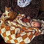 baby, cat, blanket, couch, fur, pacifier, infant, orange_cat, plush, wood_floor, indoor, cute, relaxed, sleepwear, patterned_blanket, comfort, pet, child, resting, warm
