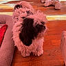dog, indoor, wooden_floor, pet_toy, small_dog, fur, animal, home, relaxing, brown_floor, white_dog, black_and_white_dog, shaggy_dog, toy, playful, companion, cute, domestic_animal, resting, screenshot