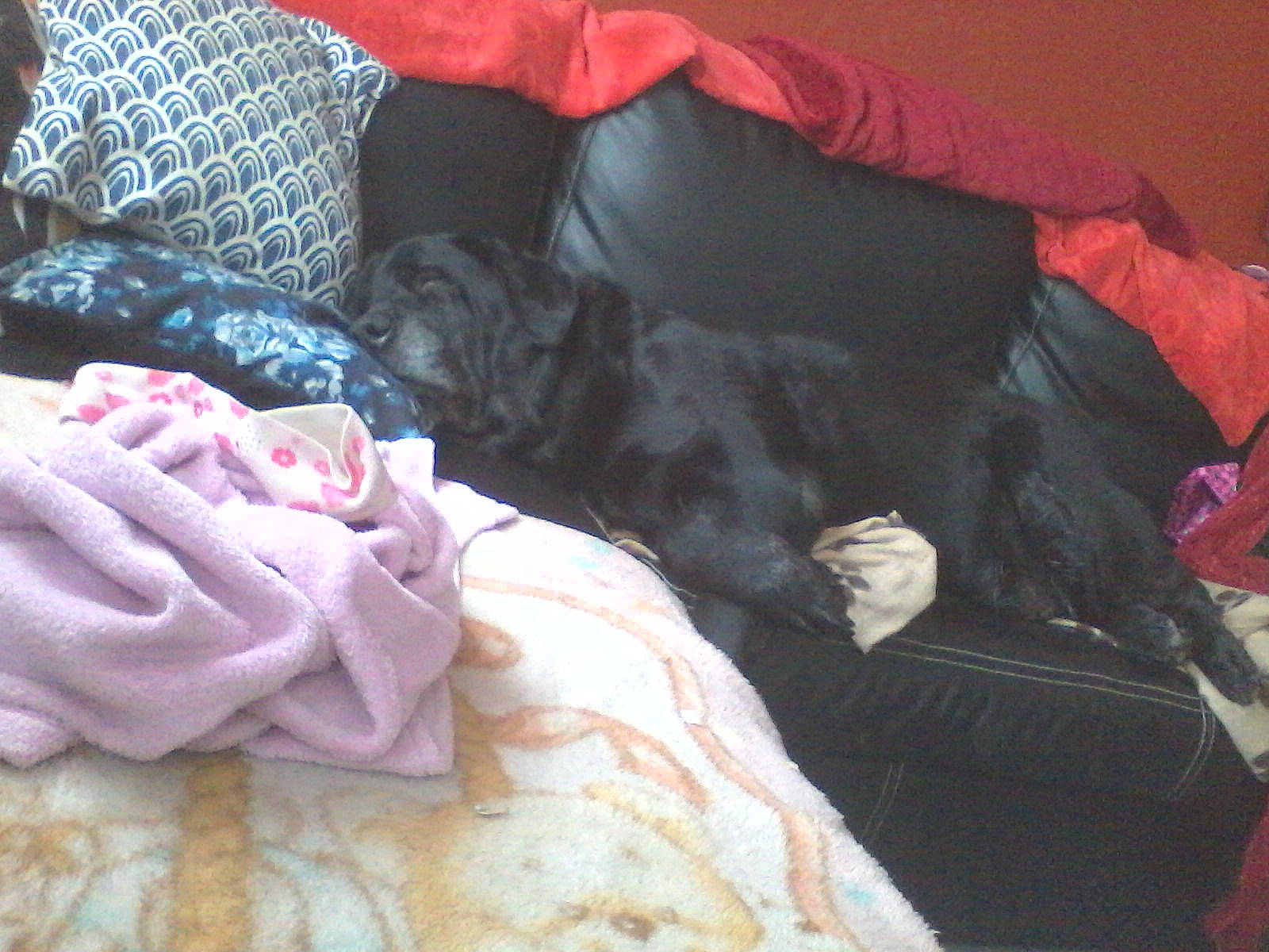 Axel a rejoint le concours — aidez-le/la à gagner de superbes lots ! nap, textile