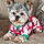 Charlie Brown