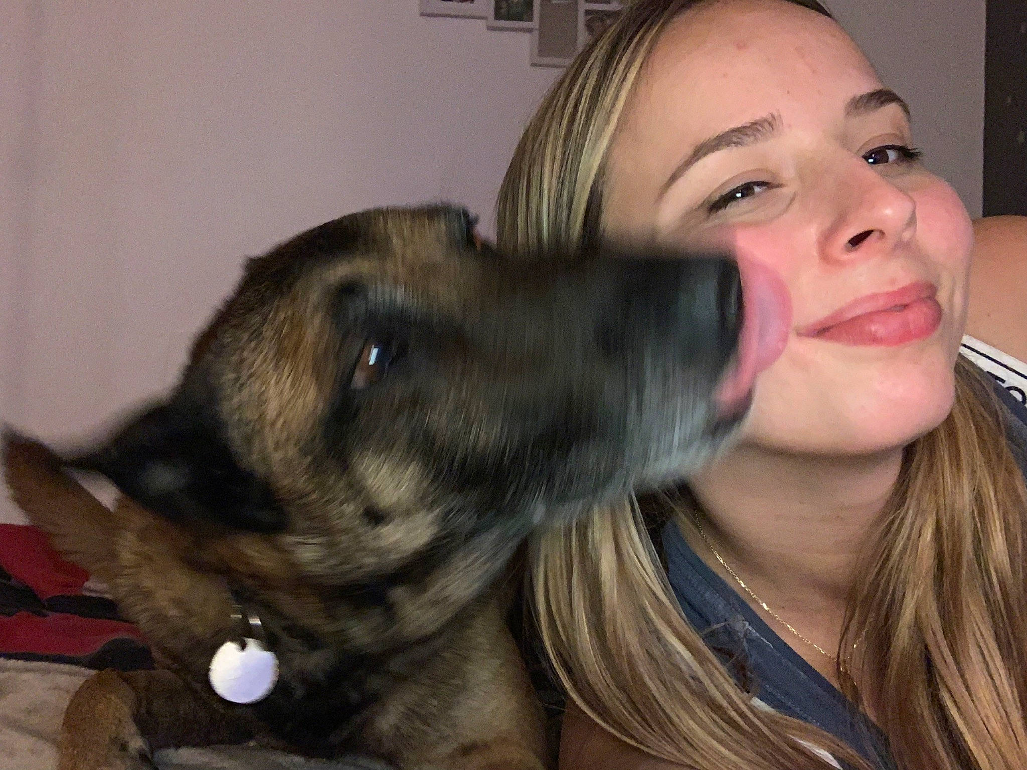 Gecko a rejoint le concours — aidez-le/la à gagner de superbes lots ! canidae, carnivore, companion_dog, dog, dog_breed, ear, eye, fawn, fun, fur, long_hair, puppy_love, selfie, snout