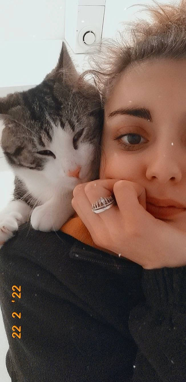 Scotty participe au concours pour gagner de l'argent avec cette photo : carnivore, cat, comfort, domestic_short_haired_cat, eyelash, felidae, finger, fur, gesture, hand, happy, hug, jewellery, nail, nose, plant, small_to_medium_sized_cats, thumb, tree, whiskers