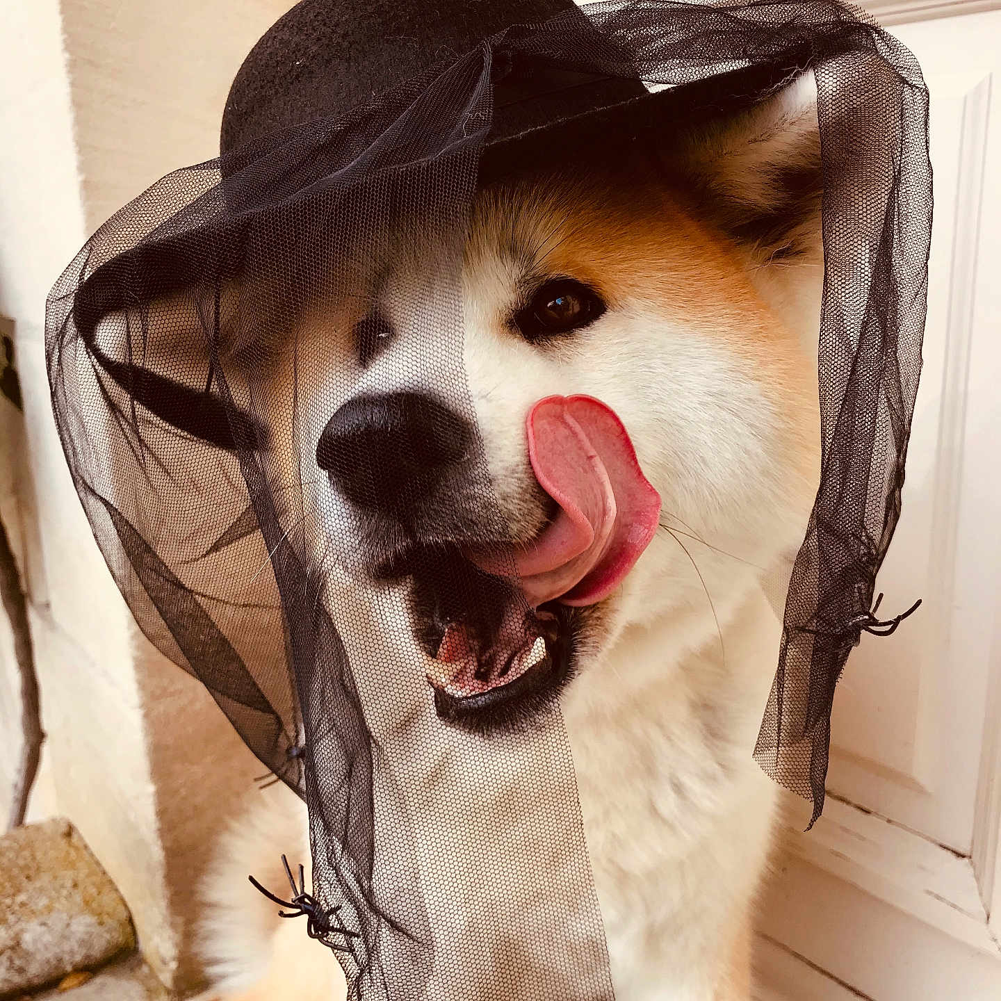 Yoko