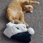 Louie is registered to the contest to win money with this photo: cat, ginger_cat, sleeping, relaxed, carpet, floor, stocking, holiday, cozy, pet, feline, cute, domestic_animal, whiskers, paws, fur, indoor, resting, collar, animal