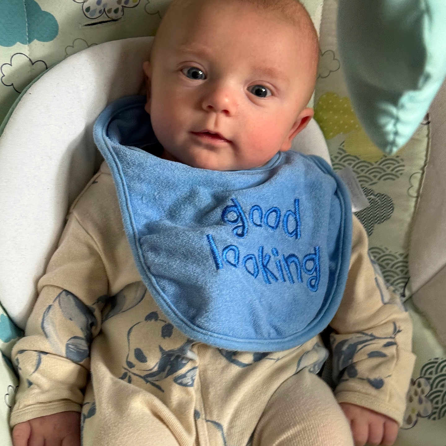 James Bleu is registered to the contest to win money with this photo: baby, baby_seat, blue_bib, child, clothing, comfort, cute, eyes, face, good_looking_text, hand, indoor, infant, onesie, panda_print, patterned_cushion, portrait, relaxed, soft_lighting, young_child