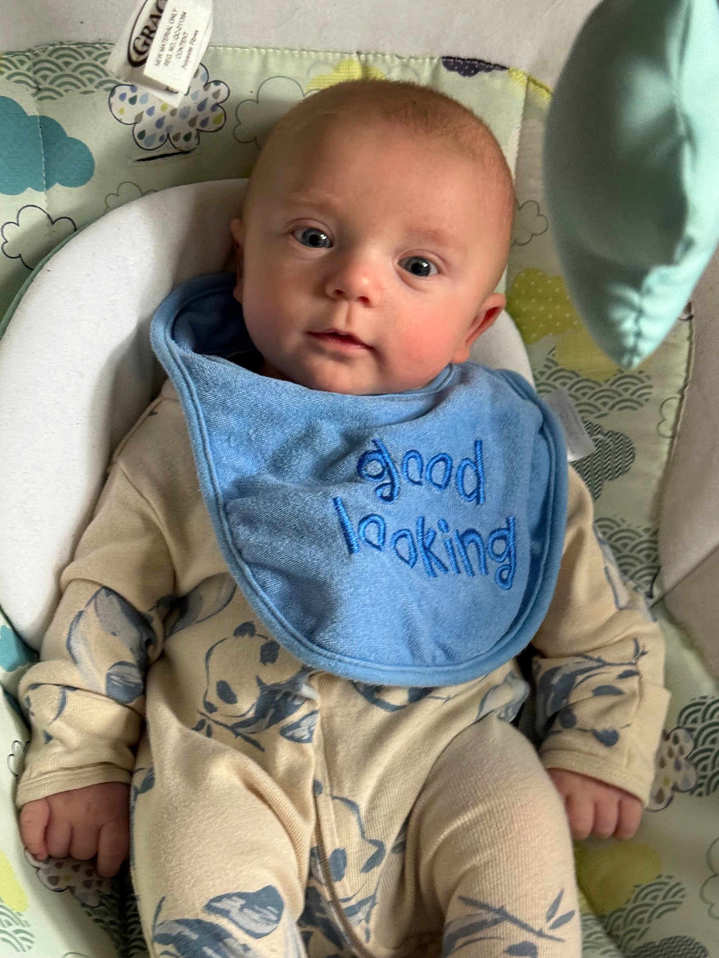 James Bleu is registered to the contest to win money with this photo: baby, infant, blue_bib, good_looking_text, onesie, panda_print, baby_seat, patterned_cushion, child, portrait, cute, young_child, indoor, soft_lighting, hand, face, eyes, clothing, comfort, relaxed