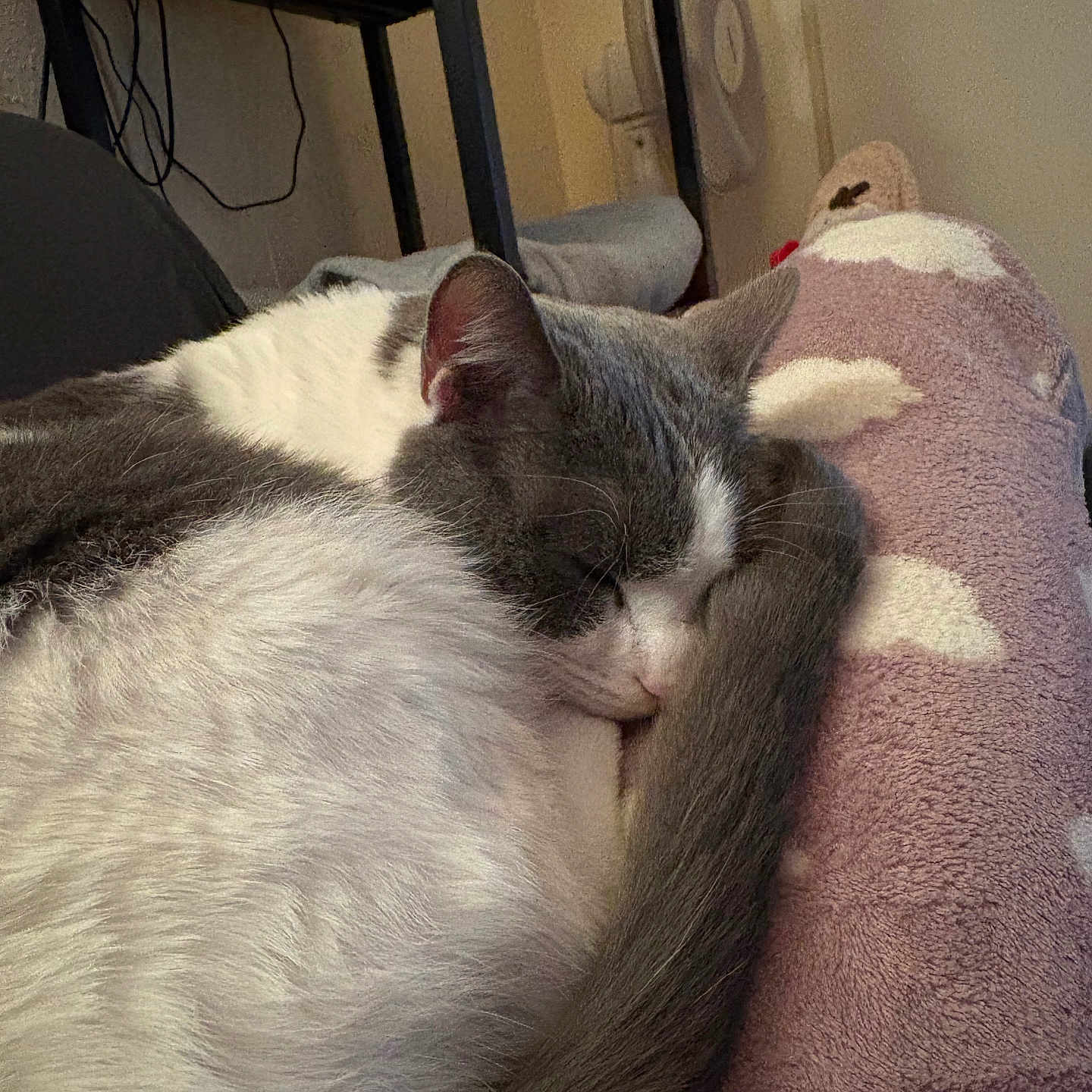 Tigrou