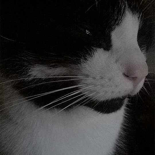 Thomas joined the competition — help win amazing prizes!