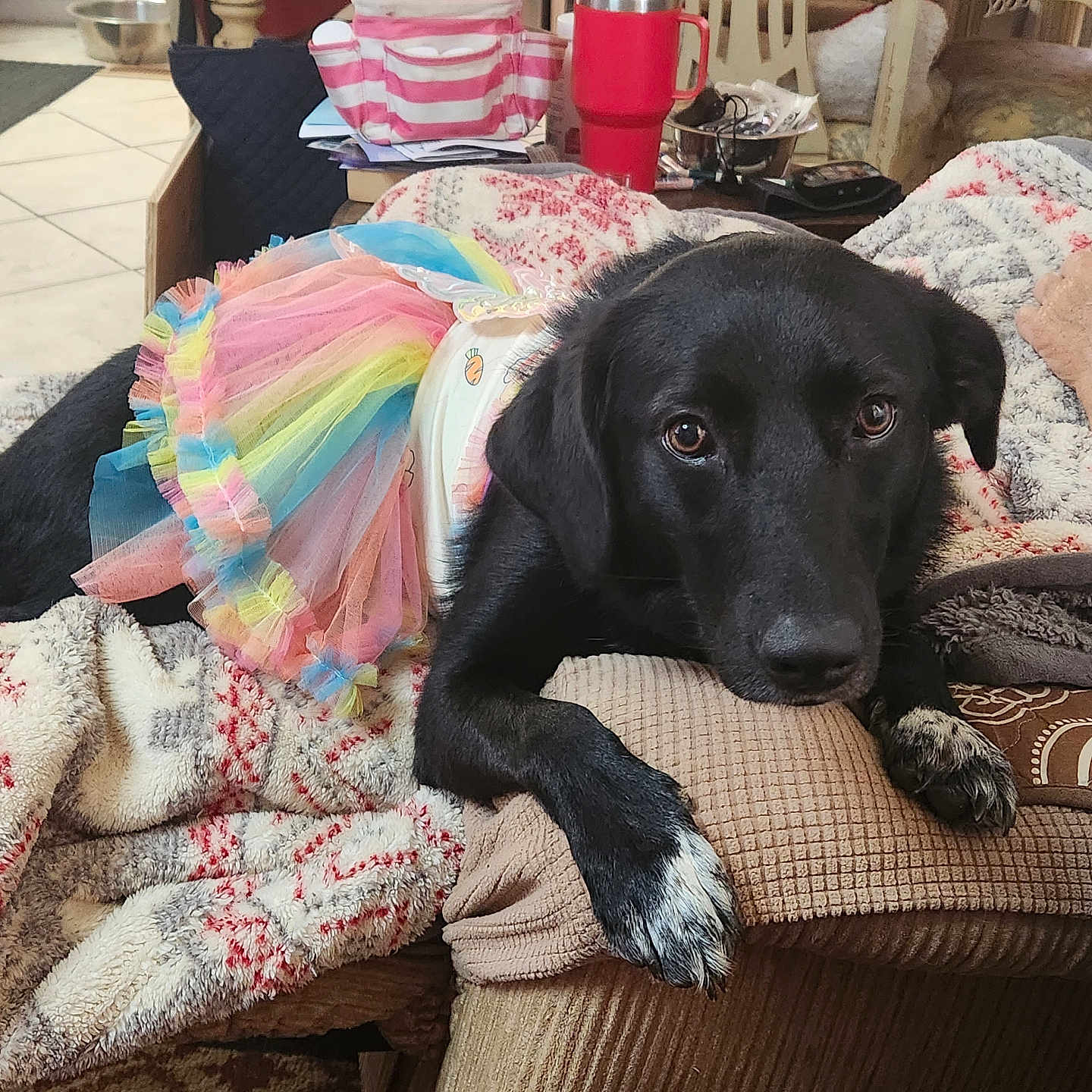 Chloe